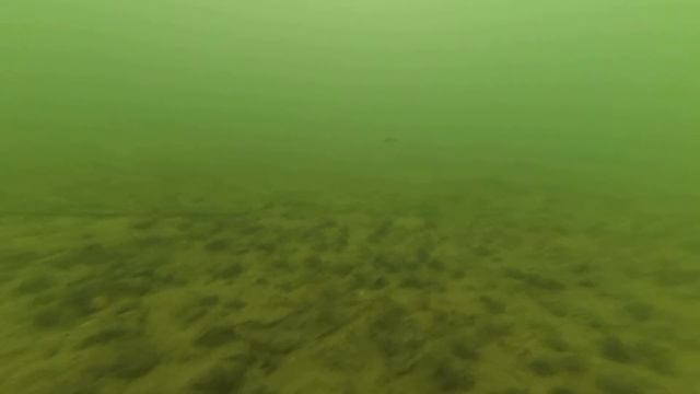 Закрытие зимнего сезона. Рыбалка в Задонске подводная съёмка. смотреть онлайн