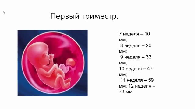 Как изменяется вес ребенка в животе у мамы смотреть онлайн