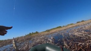 Боковой кивок рулит, поплавок нервно курит/Озеро Строево, ловля карася на боковой кивок.
