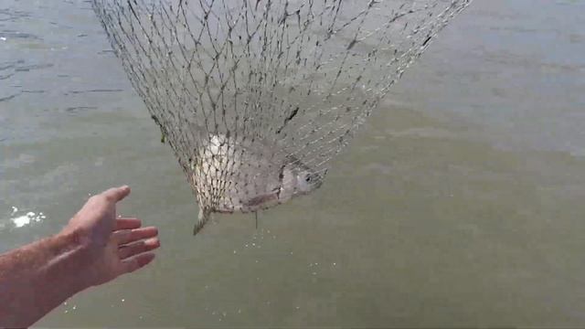 Егорлыкское водохранилище Ставропольский Край 11 на 12 июня 22 г смотреть онлайн