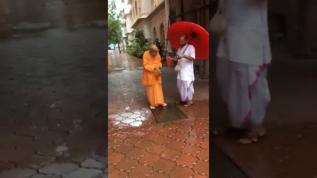 Утренняя прогулка, Джуху, Мумбай, 11.08.2021 смотреть онлайн