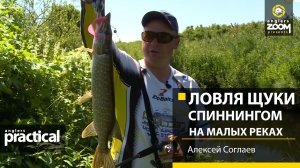 Ловля щуки спиннингом на малых реках. Алексей Соглаев. Anglers Practical.