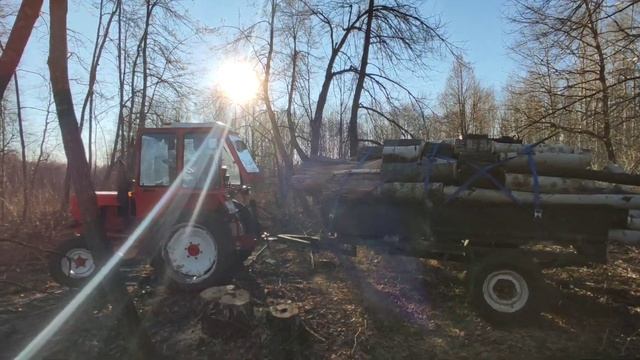 Прицеп Самосвал в лесу. Разрабатываем делянку.