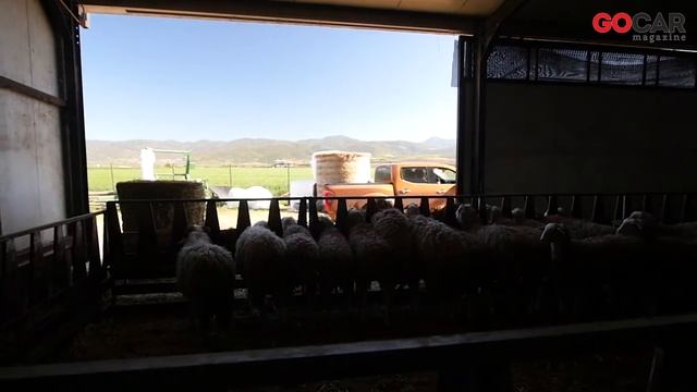 Nissan Navara NP 300 2.3 Double Cab | GOCAR Test drive - gocar.gr смотреть онлайн