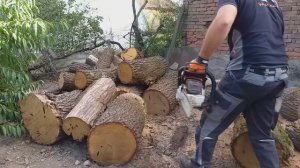 Breakfast for stihl ms 500i