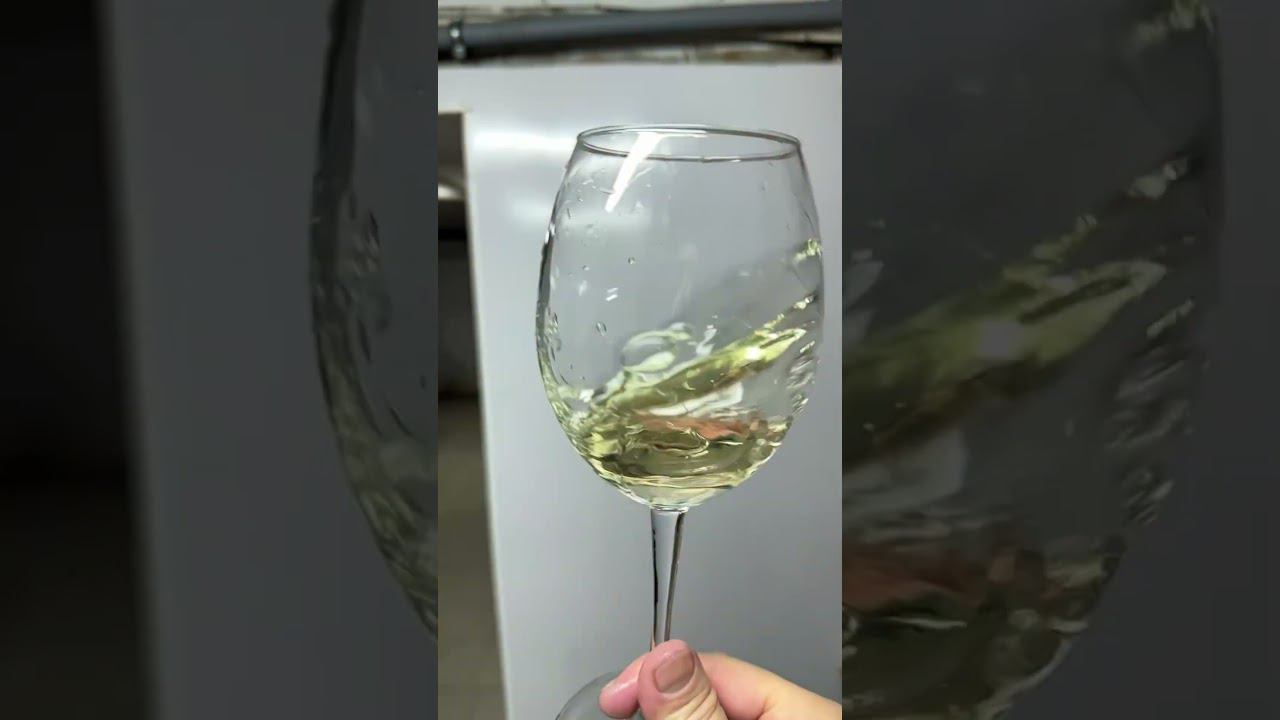 Авторское вино Солярис + Кристалл 2023. И на камнях растут деревья) смотреть онлайн