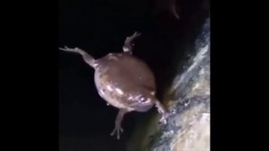 Забавные кубики. Подборка приколов. Vol11