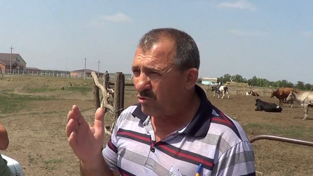Не где пасти коров потому что всё скуплено Конным Заводом Донским. смотреть онлайн