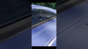 Течь люка на автомобиле ГАЗель дуэт, часть 1.