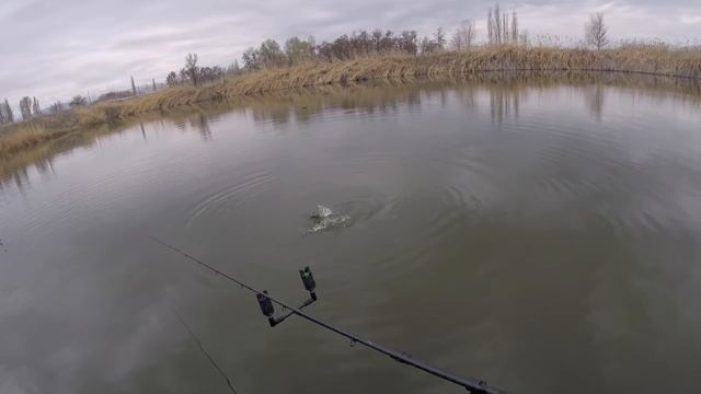 /ФИДЕР РАННЕЙ ВЕСНОЙ / ЛОВЛЯ ФОРЕЛИ НА ФИДЕР 2019/ смотреть онлайн