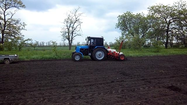 МТЗ-892. Посев подсолнечника 2016 смотреть онлайн