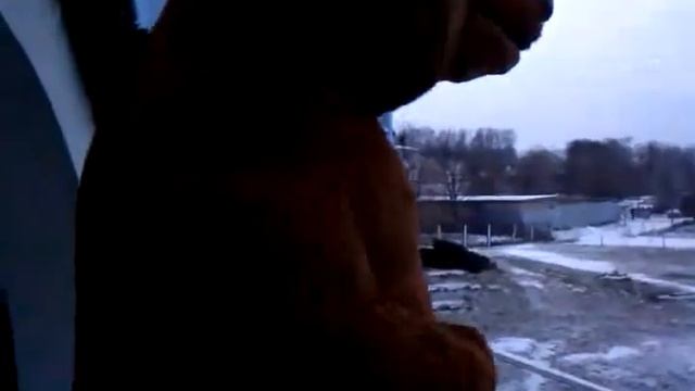 Ведмеди захватили роддом) смотреть онлайн