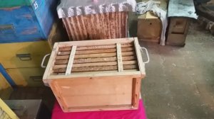 ловушка для пчёл. Бомба. Как поймать рой. Ловушка для пчел своими руками. Пчеловодство. Пчелы Пасек