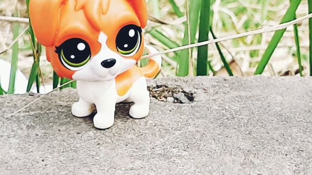 LPS: ПОСЫЛКА ОТ LPS JENNY//распаковка 1-ой посылки от подписчицы// смотреть онлайн