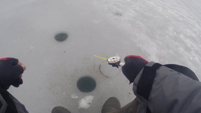 Ловля СУДАКА на ЖЕРЛИЦЫ!!! Зимняя рыбалка на Яузском вдхр, Пудыши!!! Яуза в феврале!!! Глухозимье!! смотреть онлайн