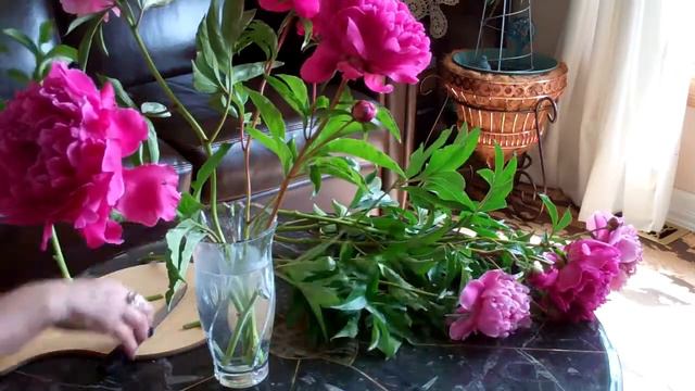 Long Stem Peony смотреть онлайн