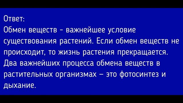 Биология 6 класс. §15 Дыхание и обмен веществ у растений смотреть онлайн