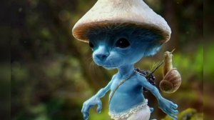 Шайлушай(1 час) ???