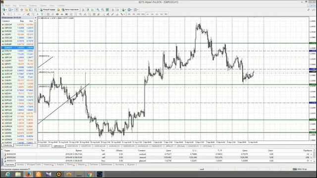 Анализ основных валютных пар за 12.09.16 Часть 1 смотреть онлайн