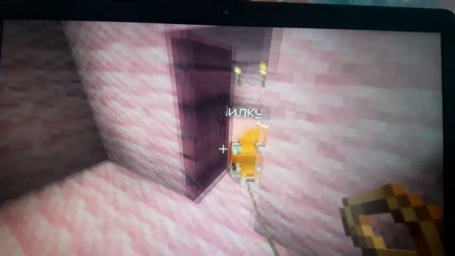 Лисья семья??Лисы родили ребёнка?(придумайте лисичке имя в коментариях?)Она девочка? смотреть онлайн