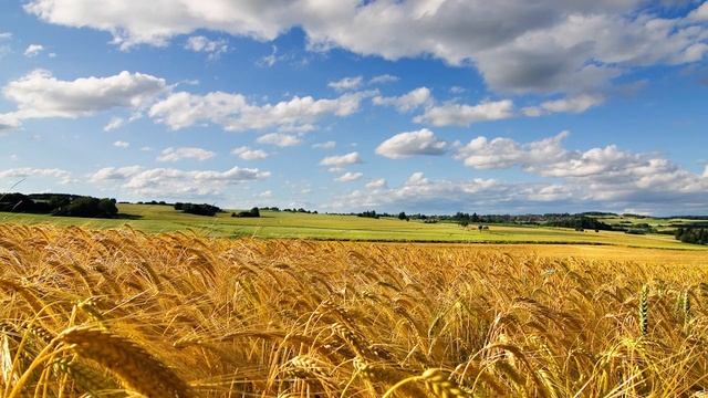 Аудио-рассказ ко Дню России "Россия – Родина моя" смотреть онлайн