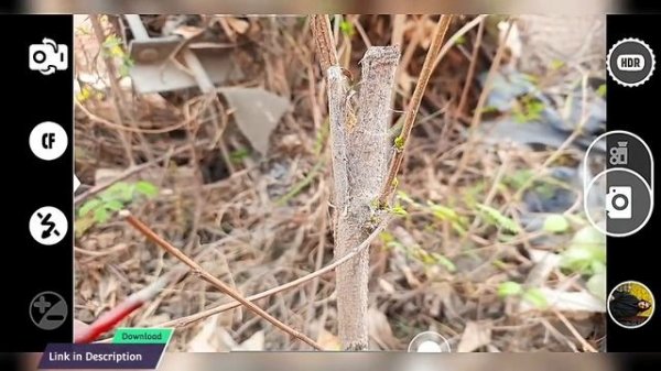 Best DSLR Camera Apps for Android phone | Professional DSLR Camera apps for android