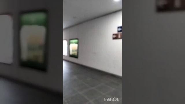 Реклама в ж/д переходе. Швейцария, Шпиц смотреть онлайн