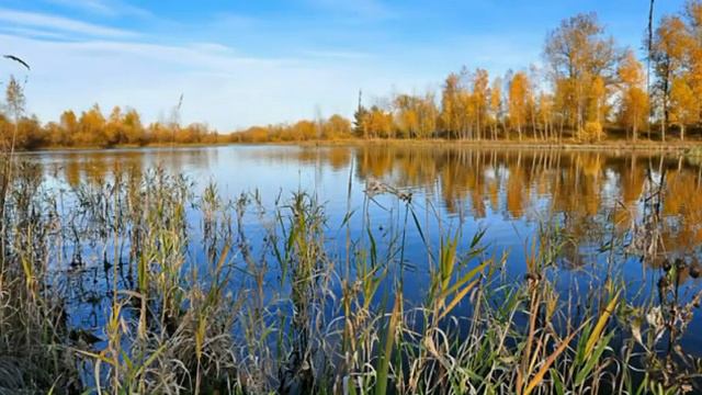 МУЗЫКА ОСЕНИ смотреть онлайн