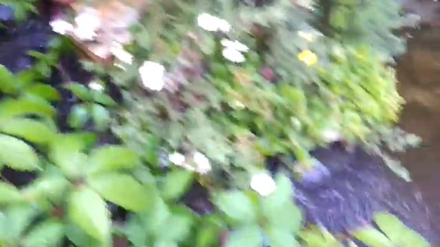 Водопад с альпийской горкой смотреть онлайн