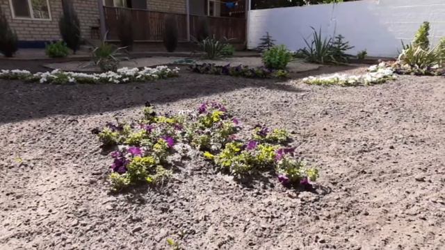 Проект "Песочная волна" смотреть онлайн