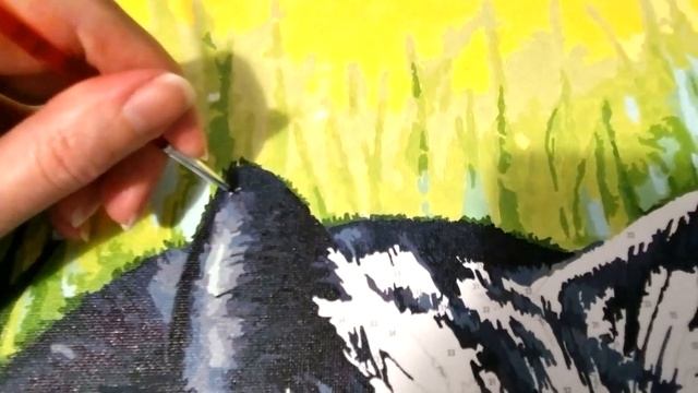 КАРТИНА по номерам КОТ и КРОКУСЫ. ЧТО Я В НЕЙ ИЗМЕНИЛА и ЧТО В ИТОГЕ ПОЛУЧИЛОСЬ? #картинапономерам смотреть онлайн