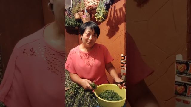 Иссоп.Полезные свойства,применение в медицине,в косметологии и кулинарии.Легенда об иссопе. смотреть онлайн