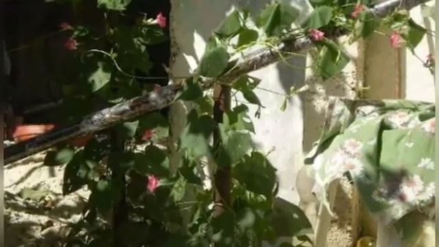 "Ikën vitet ikën" смотреть онлайн