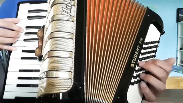 Eigene Walzerkomposition - Akkordeon (Hohner Student VM)