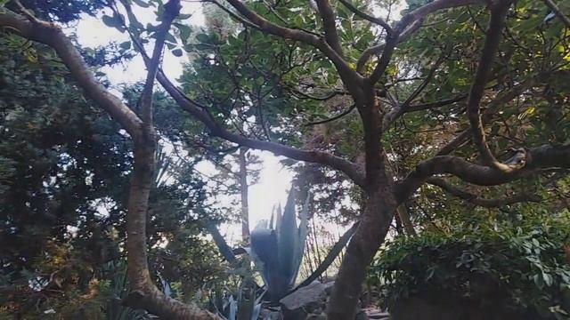 ЯКОРНАЯ ЩЕЛЬ/ ОТЕЛЬ У ЕЛЕНЫ/ ГОСТЕВЫЕ ДОМА/ ОТПУСК У МОРЯ 2020 ч.1 смотреть онлайн