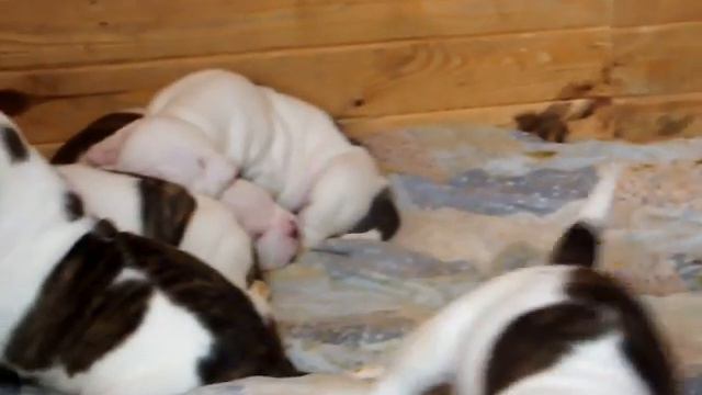 DSCF2295 смотреть онлайн