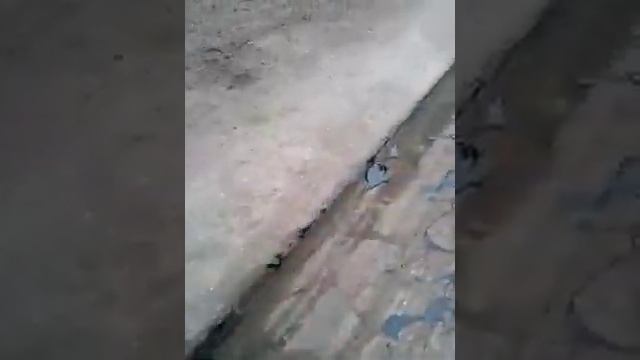 Текущий ремонт дорог Каменское смотреть онлайн