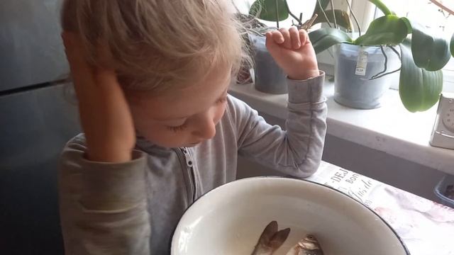 Жарьте рыбу именно так. Мастер класс от Машуликрасатули. Что делать с карасями живыми. смотреть онлайн