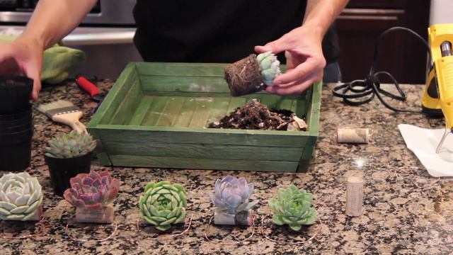 Decorating with Succulents - Spring Get Together смотреть онлайн