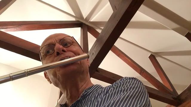 Helmuth Hammig Silver Flute смотреть онлайн