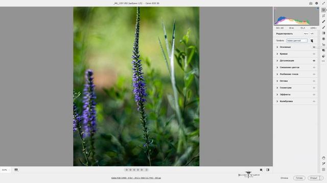 Новая Camera Raw 12,3 и новый интерфейс смотреть онлайн
