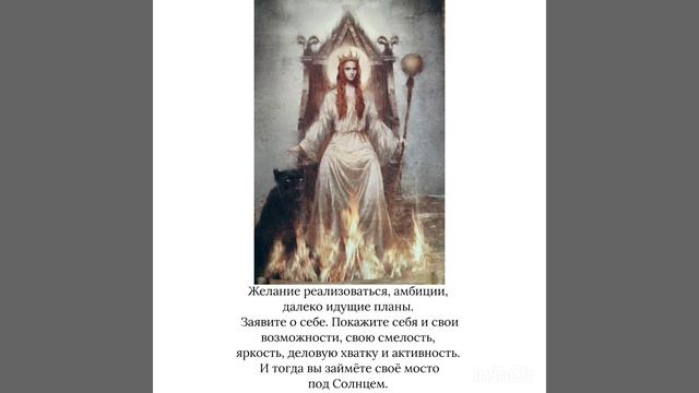 Tarot. Карта дня