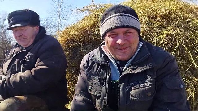ЛОШАДИ/ Цыган на лошади приехал за сеном смотреть онлайн