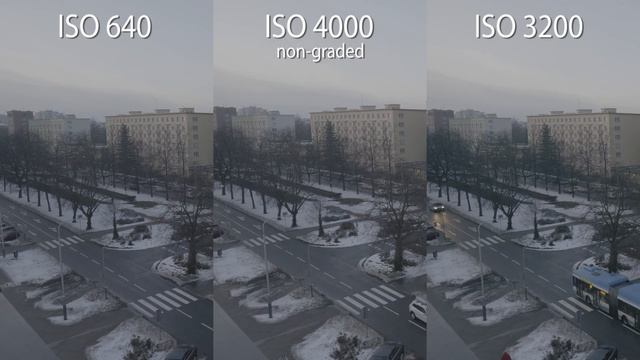 Panasonic Lumix S5: Dual Native ISO V-Log Comparison смотреть онлайн