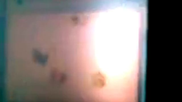 OMEGA FORTE Pokemon Boxes смотреть онлайн