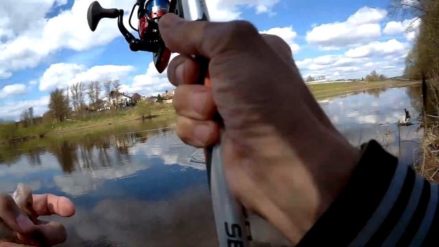 Плотва голавль ловля в проводку на пшеницу река Днепр смотреть онлайн