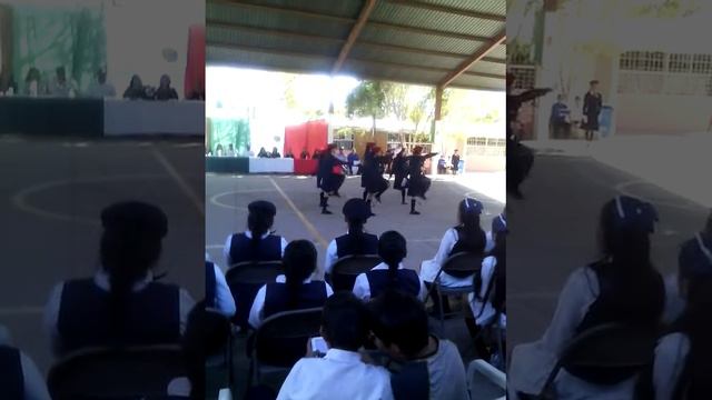 Escolta de mexicali Derechos Humanos zona 61 смотреть онлайн