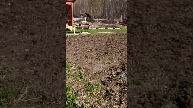 Приводим в порядок дачный участок/новая клумба/начало мая 2023 г смотреть онлайн