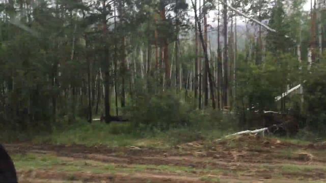 Дорога из Красноярска во Владивосток. Забайкальский край смотреть онлайн