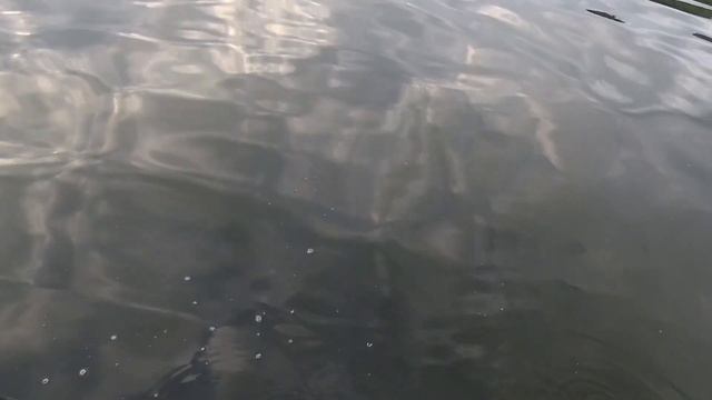 НА ОЗЕРЕ 50 РЫБАКОВ А ЛОВЛЮ ТОЛЬКО Я,ВЕСЬ СЕКРЕТ В КОПЕЕЧНОМ СРЕДСТВЕ КОТОРОЕ Я ДОБАВИЛ В ПРИКОРМКУ смотреть онлайн